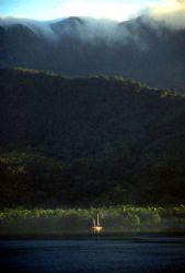 Milne Bay Morning, PNG;  Nikon F, 28-300 Vivitar Lens by Rick Tegeler 